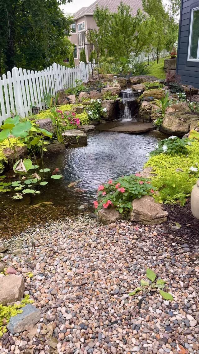 A backyard garden pond with a small stone waterfall and colorful flowering plants.