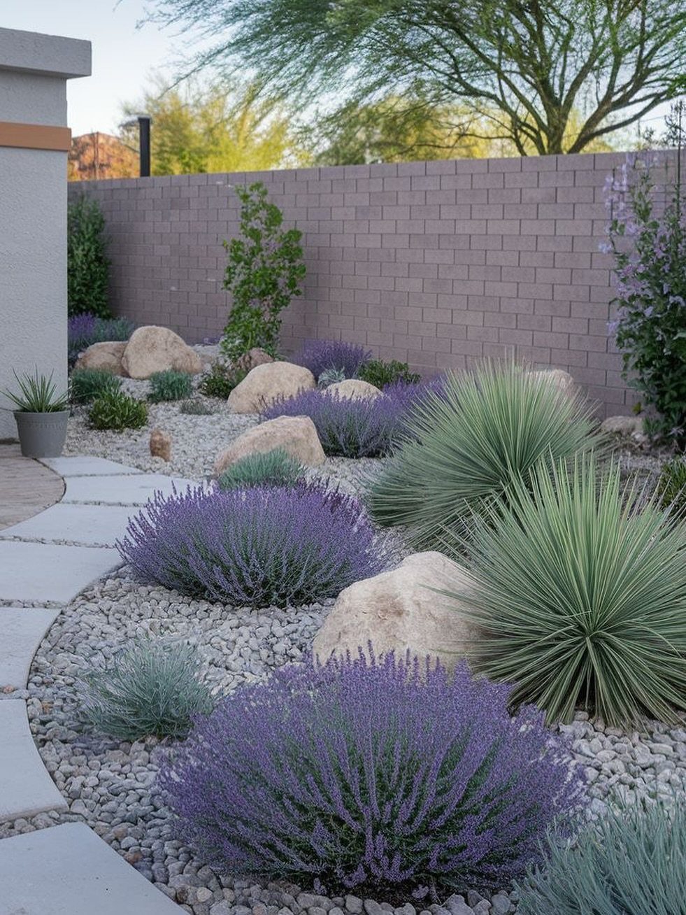 Purple lavender and spiky agave plants arranged with boulders in a gravel garden landscape.