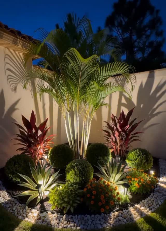 Tropical garden bed with palm, shrubs, and flowers surrounded by white stone edging at night.