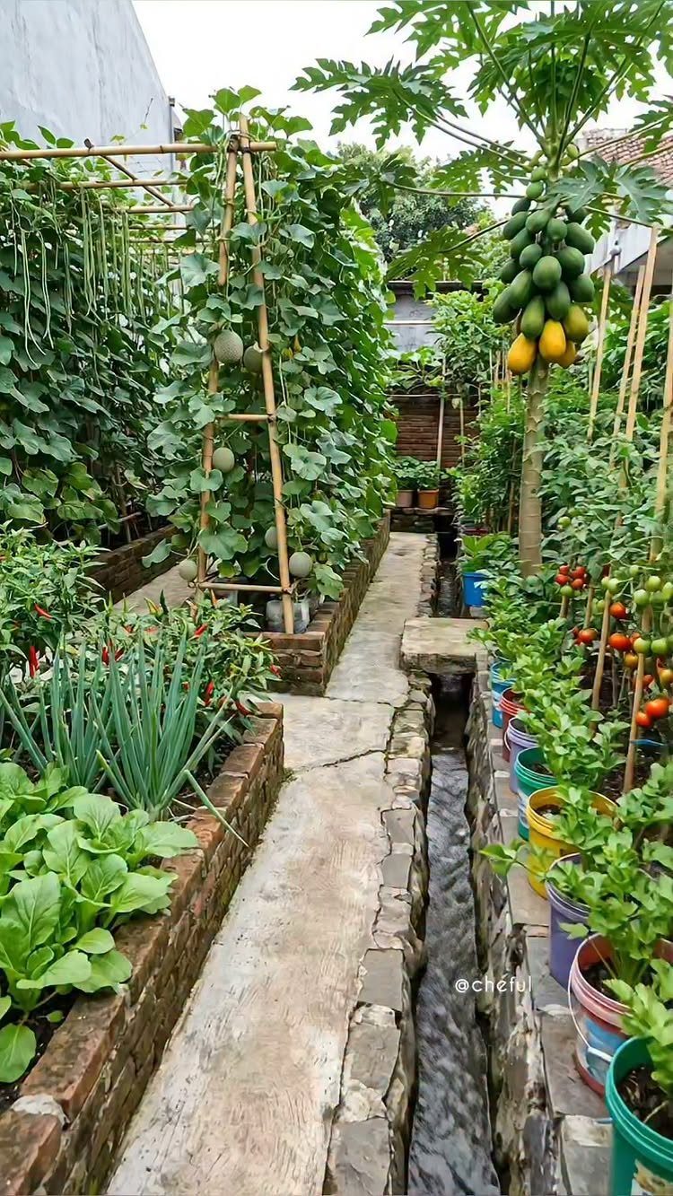 Lush vegetable garden with climbing plants on trellises and various vegetables in raised brick beds.