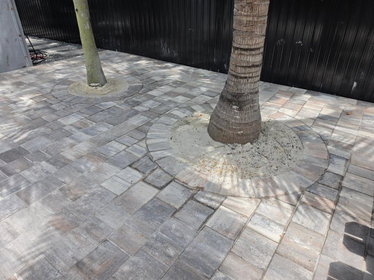 Grey and tan brick pavers forming a patio with two trees growing through circular cutouts.
