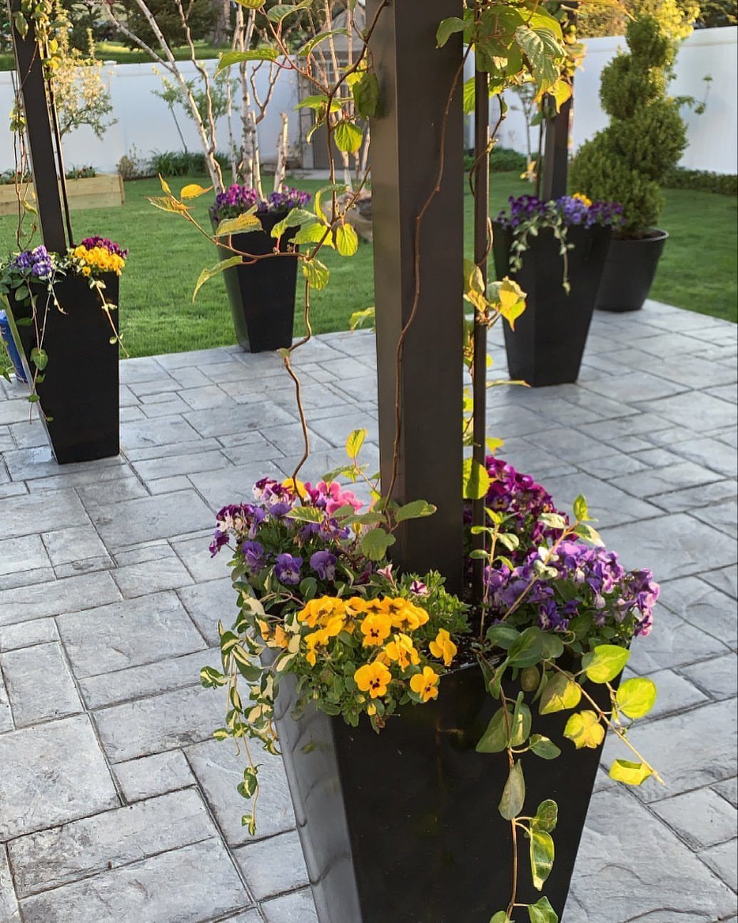 20 Covered Patio Ideas for Shade, Style and Year-Round Use 13 Black tapered planters with purple and yellow flowers arranged on a grey stone patio.