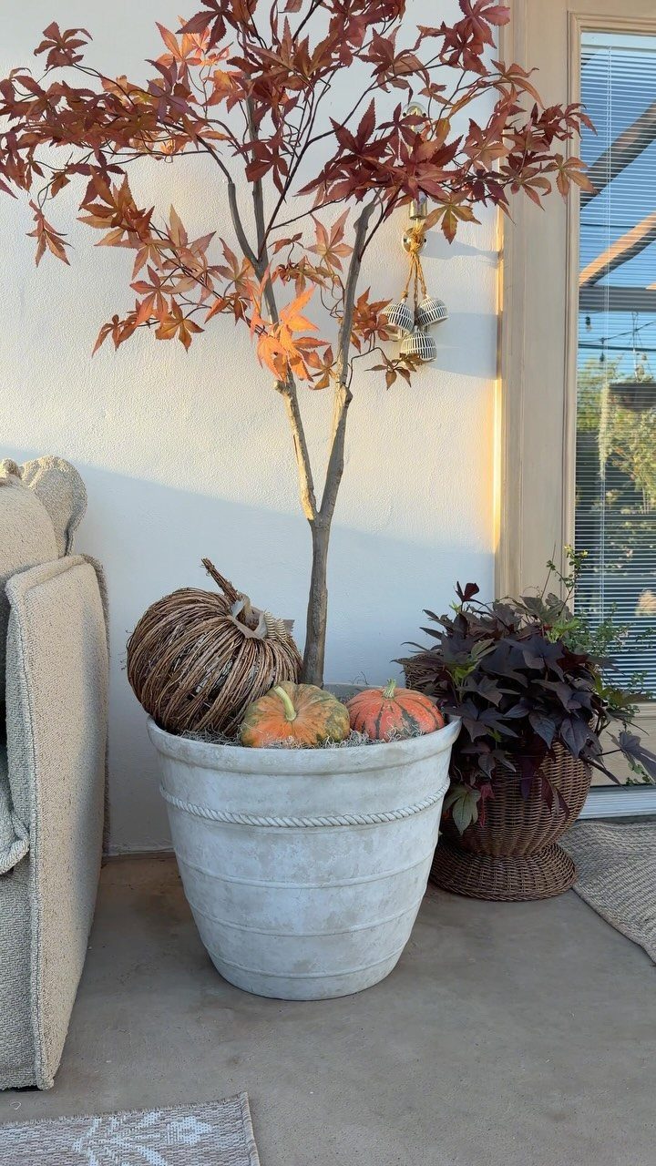 12 DIY Small Garden Ideas for Patios, Balconies and Backyards 1 A large grey textured planter holding a small tree and pumpkins on a patio.