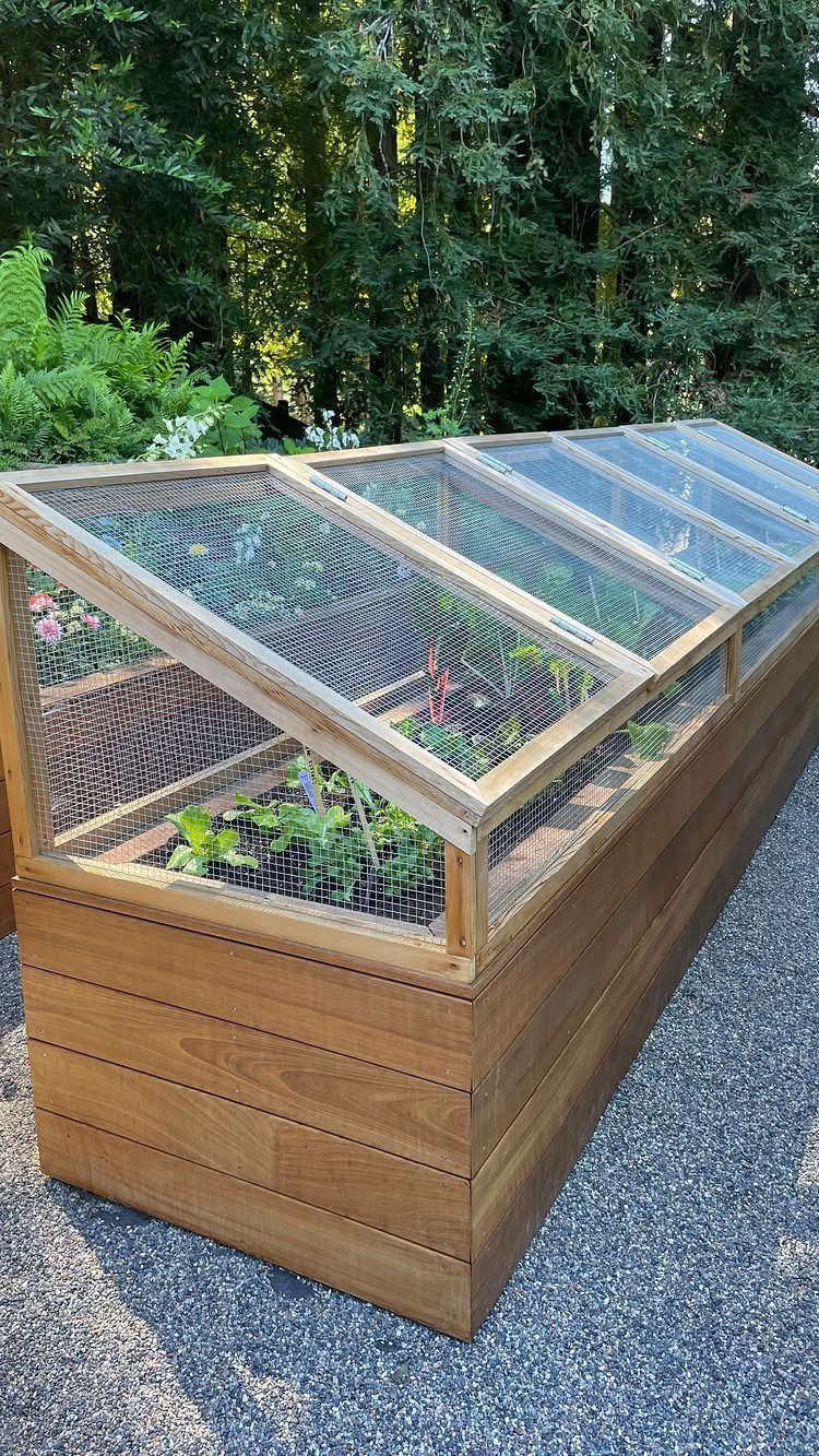 Easy Raised Garden Beds with 8 Material Ideas 8 A long wooden raised garden bed with a wire mesh cover containing green plants.