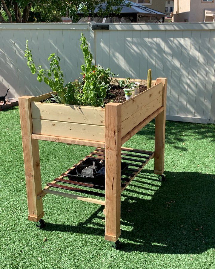 Easy Raised Garden: 9 Ideas for Any Budget and Skill Level 9 A wooden raised garden bed with green plants sitting on wheels over artificial grass.