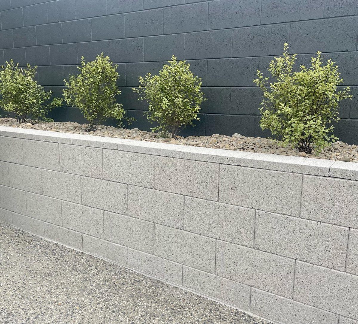 Easy Raised Garden: 9 Ideas for Any Budget and Skill Level 3 Grey concrete wall blocks forming a long raised garden bed with green shrubs.