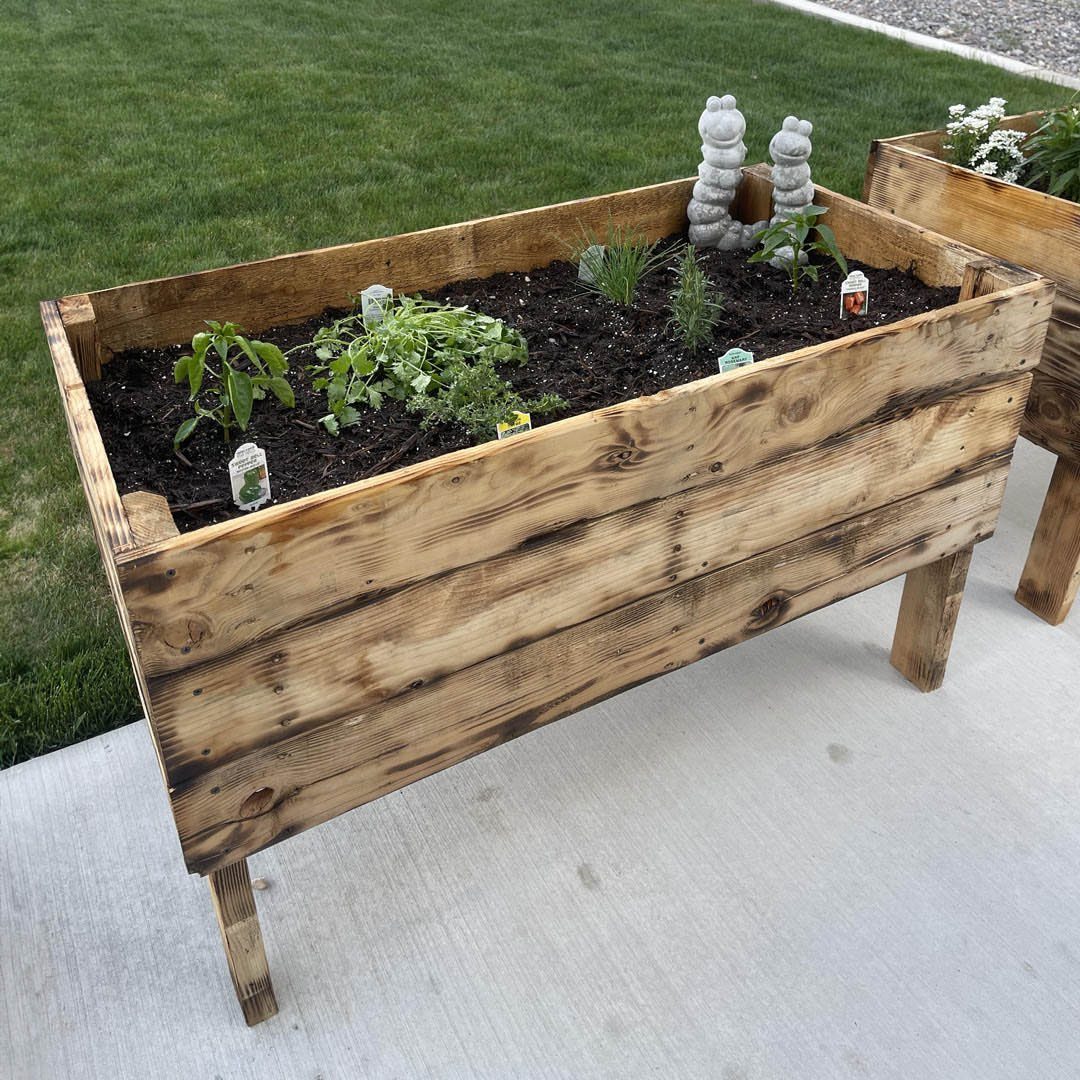 Easy Raised Garden: 9 Ideas for Any Budget and Skill Level 2 A rustic wooden raised garden bed filled with soil and small green plants on a patio.