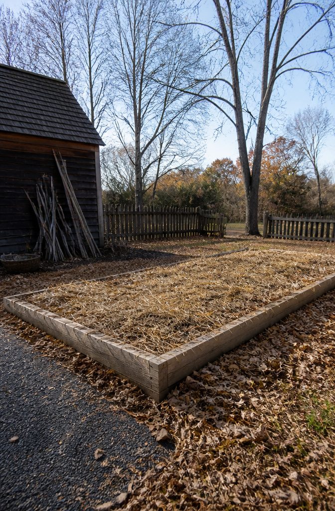 A raised garden bed covered with a thick layer of mulch for garlic protection.