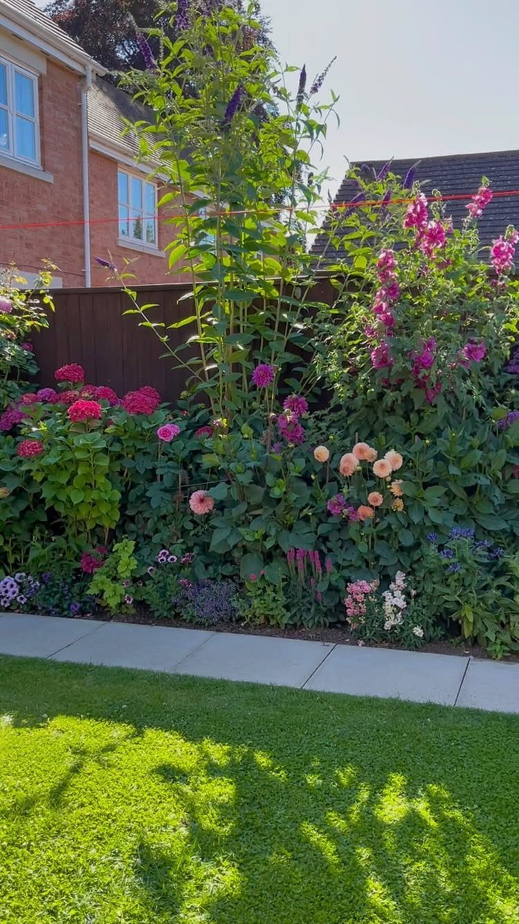 22 Backyard Garden Ideas for Patios, Beds, and Privacy 22 Lush garden border with tall purple buddleia and colorful pink dahlias against a wooden fence.