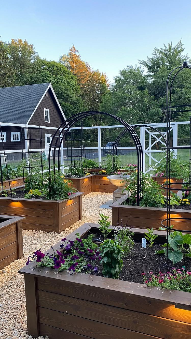 22 Backyard Garden Ideas for Patios, Beds, and Privacy 3 Wooden raised garden beds filled with green plants and purple flowers on gravel.
