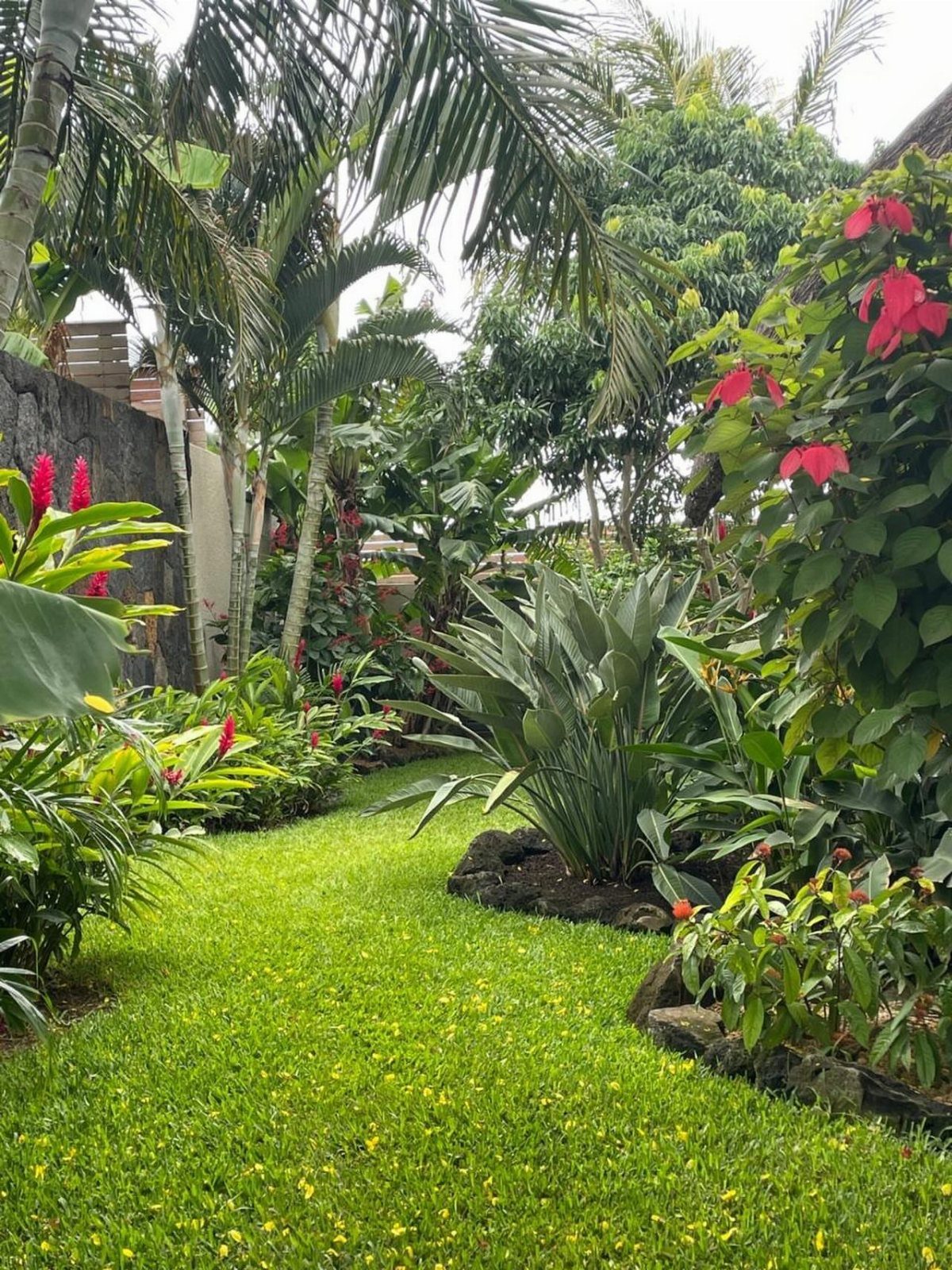 22 Backyard Garden Ideas for Patios, Beds, and Privacy 20 Tropical plants with large green leaves and red flowers surrounding a green lawn path.