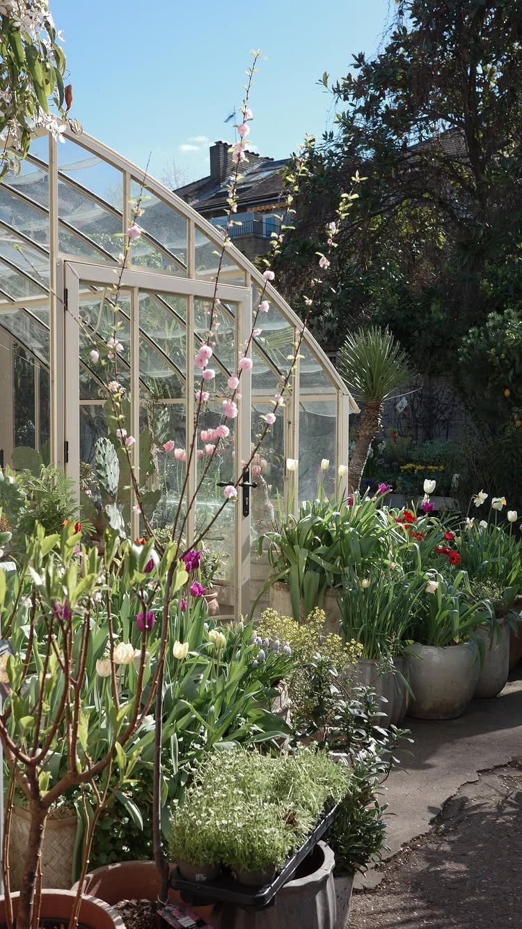 A large glass greenhouse surrounded by many blooming potted plants and lush garden greenery.