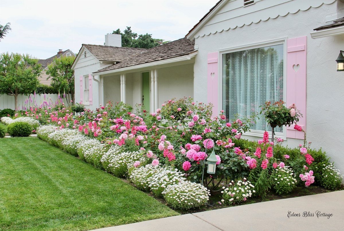 Pink roses and white flowers blooming in a lush garden bed in front of a white house.