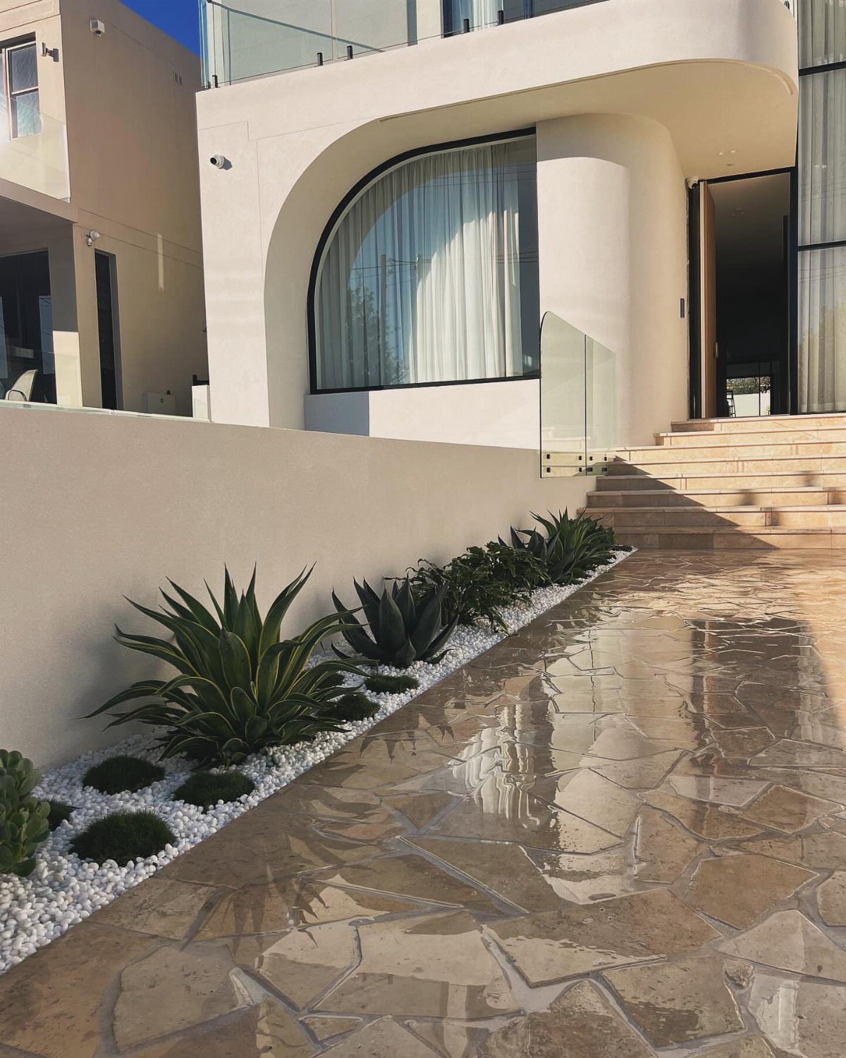 Agave plants and small green shrubs growing in white pebbles alongside a stone walkway.