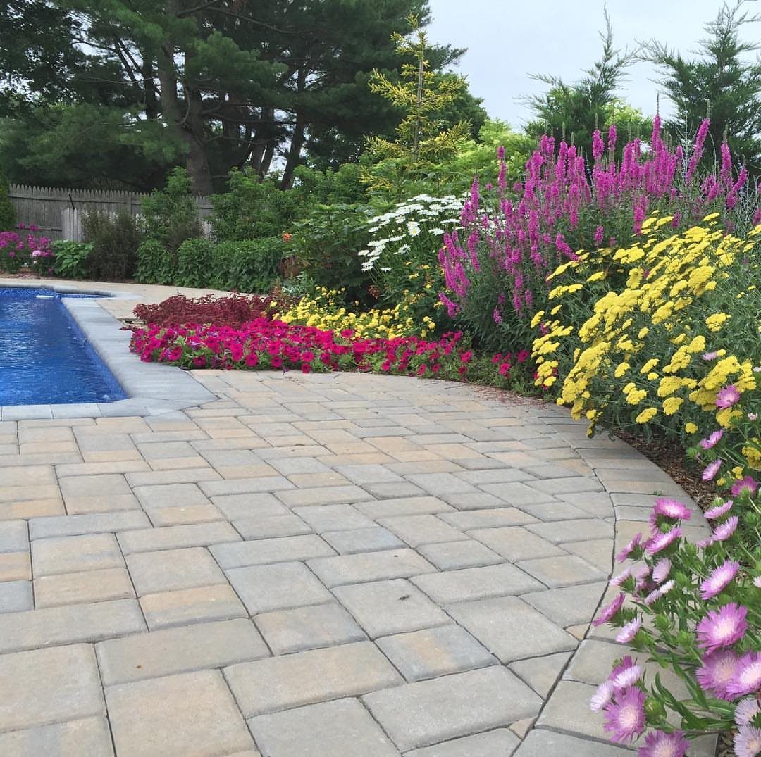 29 Outdoor Gardens Ideas for Patios, Yards, and Every Budget 10 Colorful pink, yellow, and white perennial flowers blooming next to a blue swimming pool.