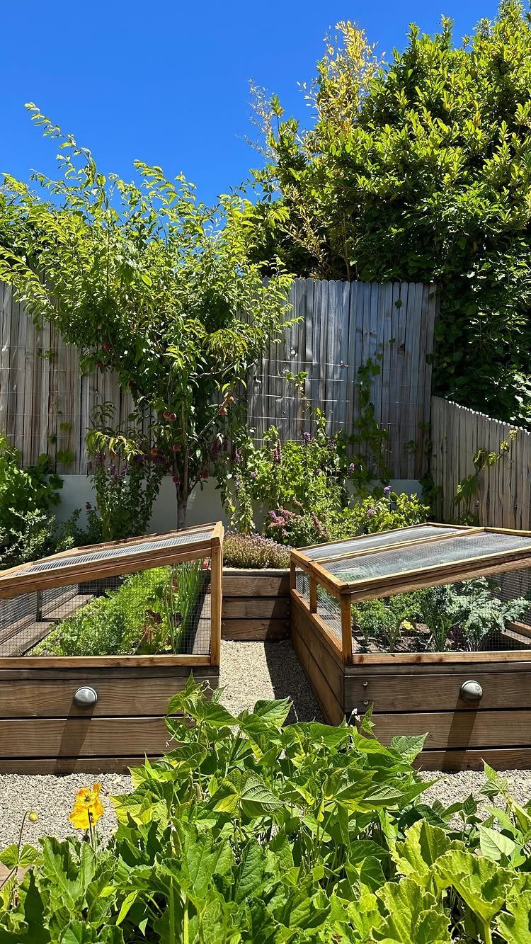 29 Outdoor Gardens Ideas for Patios, Yards, and Every Budget 12 Wooden raised garden beds with glass lids containing green plants on a gravel garden surface.