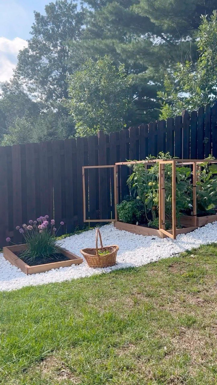 29 Outdoor Gardens Ideas for Patios, Yards, and Every Budget 9 Wooden raised garden beds with protective frames growing green plants on white gravel.