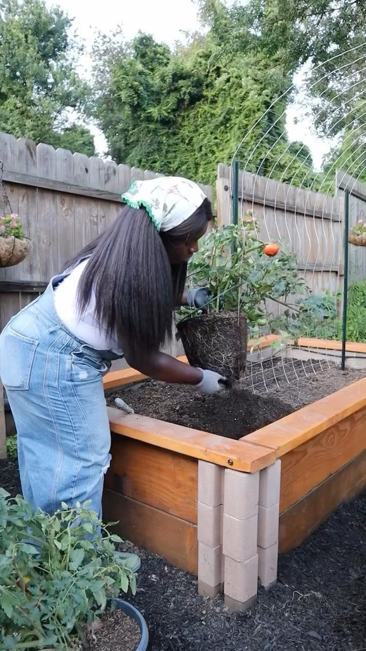 Raised Garden Bed Ideas for Layout: 8 Photos to Plan From 2 A woman planting a tomato plant into a wooden raised garden bed in a backyard garden.