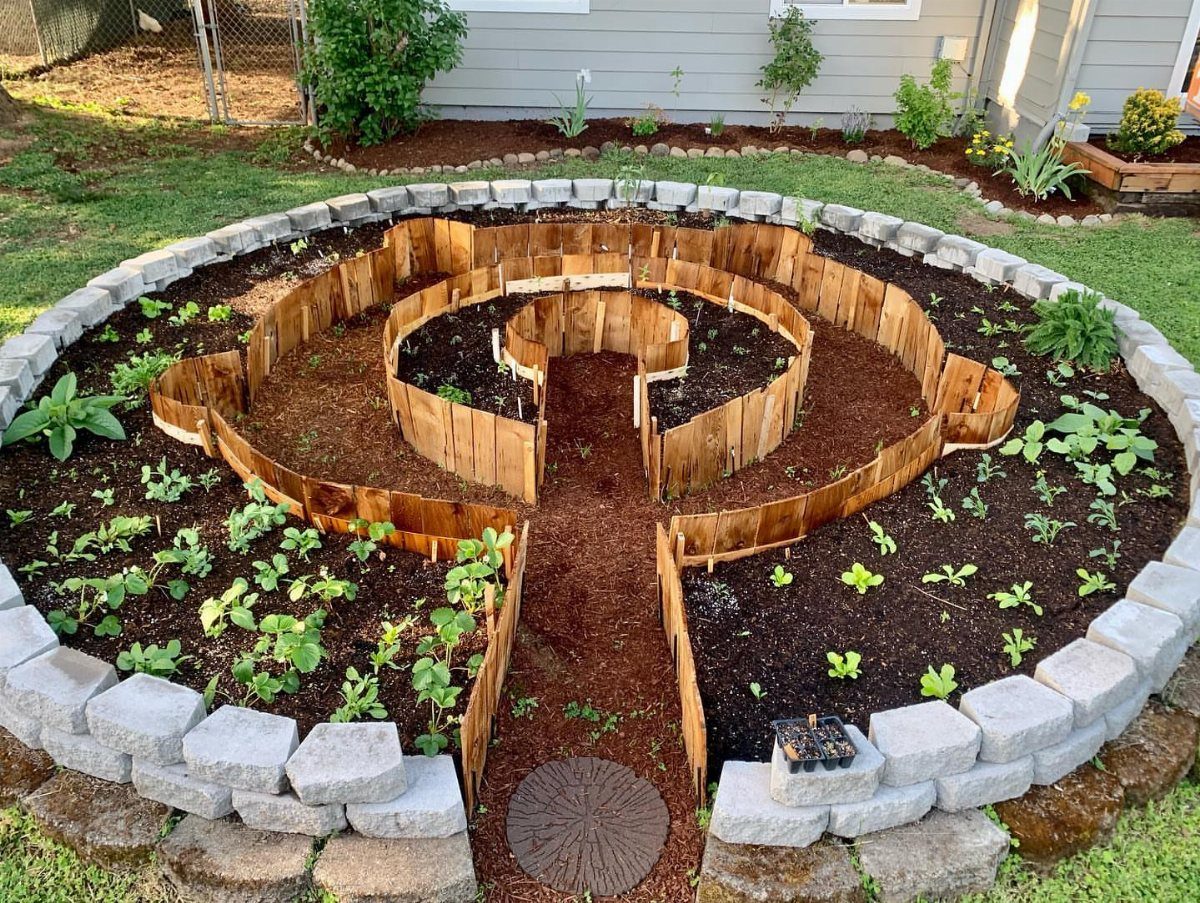 Raised Garden Bed Ideas for Layout: 8 Photos to Plan From 5 A circular wooden labyrinth-style raised garden bed filled with soil and small green plants.