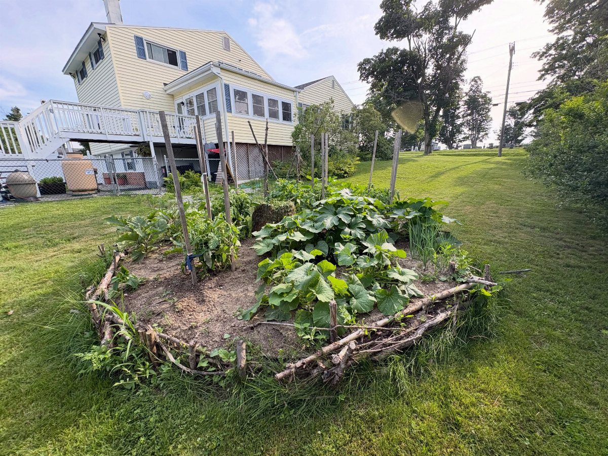 Raised Garden Bed Ideas for Layout: 8 Photos to Plan From 8 A circular raised garden bed made of branches containing large green leafy plants on a lawn.