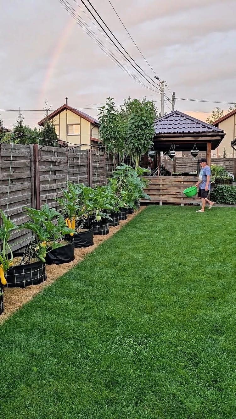 Small Backyard Garden: 11 Vegetable Ideas for Tight Spaces 8 Large green vegetable plants growing in black fabric grow bags along a wooden backyard fence.